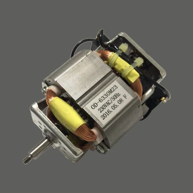 110v Extractor Motor