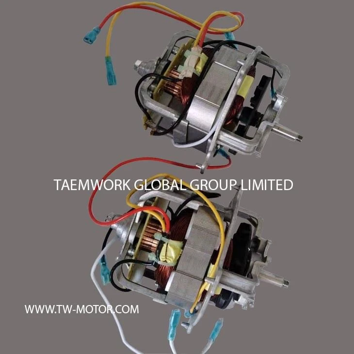 Fast Mixer Motor