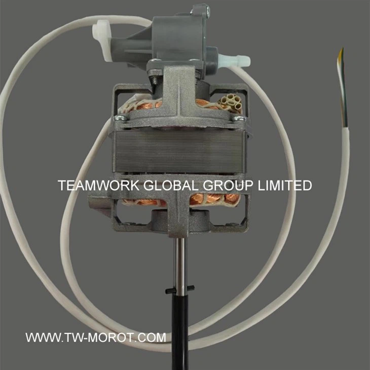 High Power High Speed Fan Motor