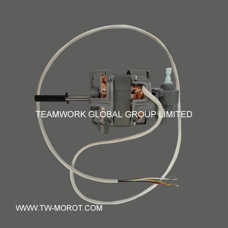 High Power High Speed Fan Motor